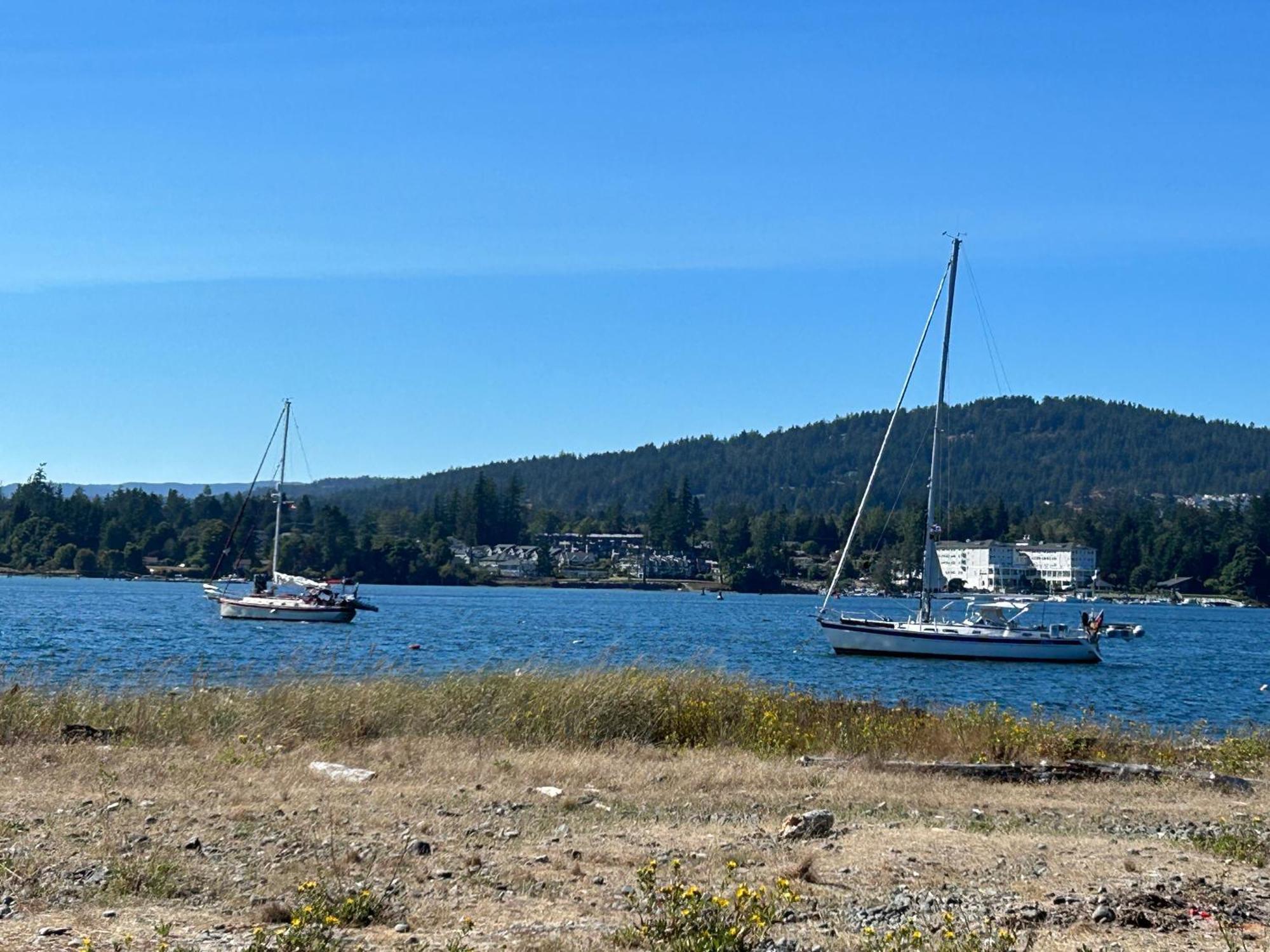 Seagull Studio Vacation Suite Sooke Eksteriør bilde